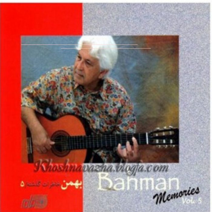 Guitar By Bahman Bashi