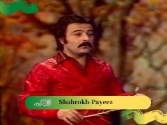 Shahrokh-Payeez
