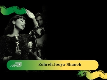 Zohreh Jooya-Shaneh